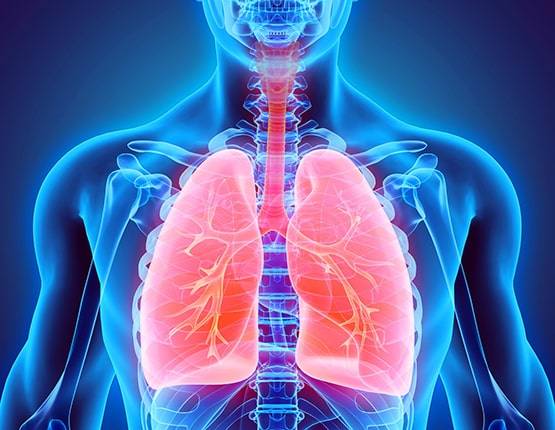 طراحی سایت کلینیک ریه و بیماری های تنفسی
